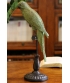 Зелений Папуга 44 см.
